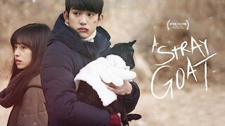 A Stray Goat #Kmovie