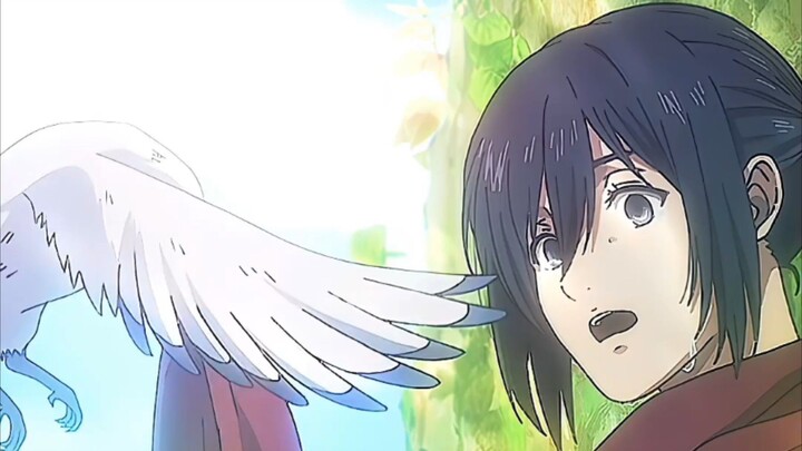 iterasai eren
