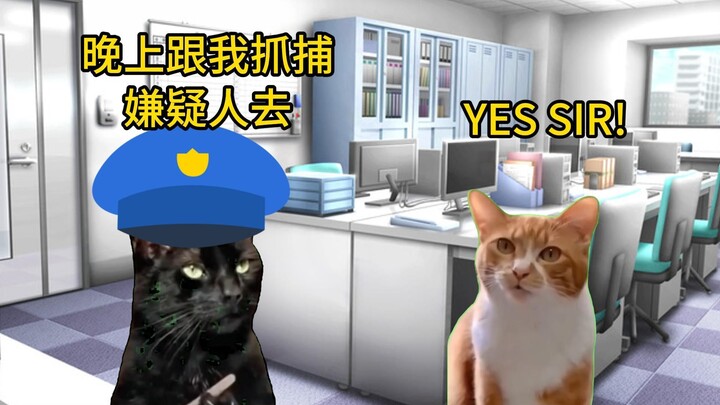 【猫meme】跟momo去办案：他逃，我追，他插翅难飞！