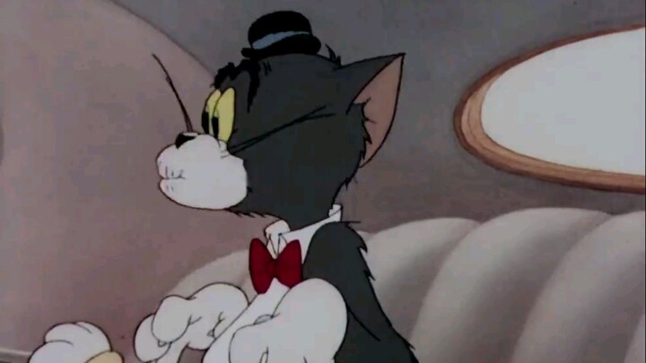 Tom & Jerry - The Million Dollar Cat