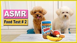 ASMR Dogs Eating 2- Toy Poodles Review Different Kinds of Food| The Poodle Mom