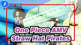 [One Piece AMV] Straw Hat Pirates - Kizuna_1