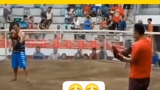 putol ang paa dahil sa sabong
