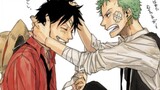 [Zoron chops off his feet, Luffy cuts off his hand] We are not a family, we cannot be on the same bo