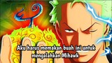 Inilah Buah Iblis Yang Akan Dimakan Oleh Zoro, Sanji Dan Kru SHP - One Piece 986+