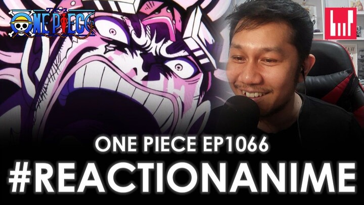 KID RAGE, MENGAMOK ! REACTION EPISODE 1066 | ONE PIECE