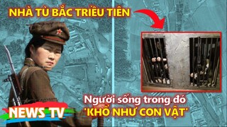 Nhà tù Bắc Triều Tiên: Người sống trong đó 'khổ như con vật'?