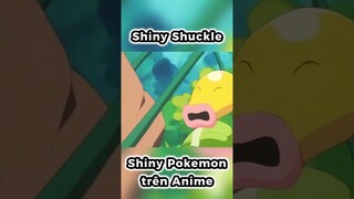 Shiny Noctowl và Shiny Shuckle - Shiny Pokemon đã xuất hiện trên Anime TV Series !!! | PAG Center