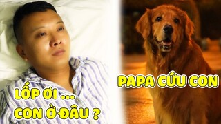 Gia Đình Lốp | Phim Ngắn - LỐP CỦA PAPA ĐÃ BỊ BẮT CÓC 😥 Gâu Đần Official