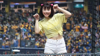 การบุกรุกของสัตว์ระหว่างการแข่งขันกีฬา