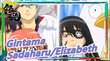 [Gintama] When Sadaharu And Elizabeth PK, Who Will Be Better