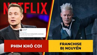 Phê Phim News: Cập nhật phiên tòa JOHNNY DEPP & AMBER HEARD | ‘Khó xem NETFLIX vì WOKE MIND VIRUS’