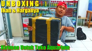 Unboxing Ikan Dan Harganya Untuk Toko Aquarium Ed Sikidua