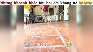 Không tấu hài đời không nể 😂😂😂#haihuoc#hài#tt#2