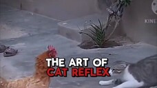 THE ART OF CAT REFLEX🔥🥵