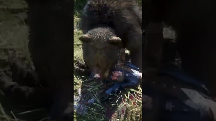Bear attacks in this game are BRUTAL RDR2