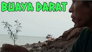 BUAYA DARAT