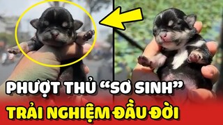 Trải ngiệm ĐI PHƯỢT đầu đời của Phượt Thủ NHỎ TUỔI NHẤT 😂 | Yêu Lu