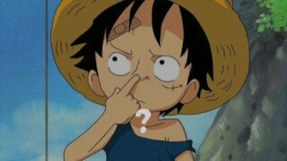 luffy lucu banget