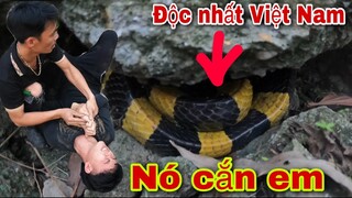 Thanh Niên Suýt Mất M.ạng Vì Bị Loài Rắn Độc Nhất Việt Nam Cắn | Săn Bắt Ẩm Thực Vùng Cao