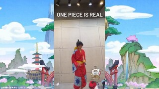 one piece is real!! 🔥 cosplayer Jabodetabek
