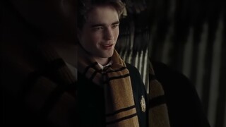 Vì sao Lửng là linh vật hoàn hảo cho nhà Hufflepuff ? #w2w #fyp