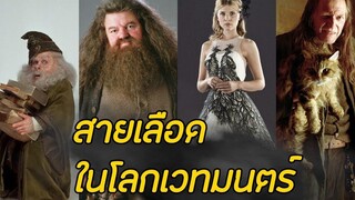 สายเลือดในโลกเวทมนตร์ Harry Potter