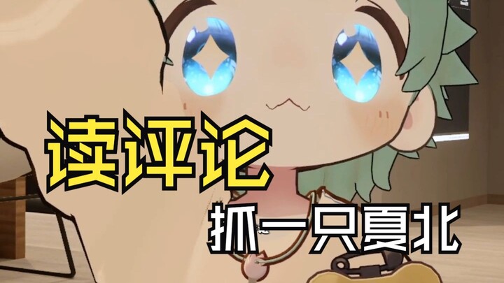 【抓一只夏北】读评论！