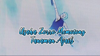 Usaha Zoro memotong Tanaman Ajaib