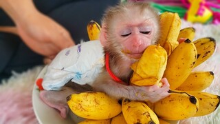 Can't Hold My Laugh!! Are you kidding me, Tiny Luca wants to sleep while eating a banana