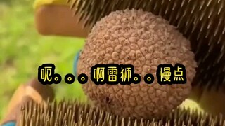 自行避雷安推文