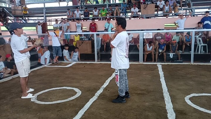 OLATS  : Longos kalayaan coliseum bulik  hinde babalik ang lakas ng kalaban  💯💪# newbie mananare