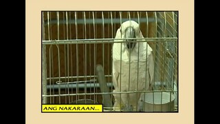 Mulawin-Full Episode 73