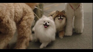 May I Help you? Episode 1 English Sub