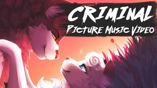 Snowfur x Thistleclaw: CRIMINAL - Animated Picture Music Video