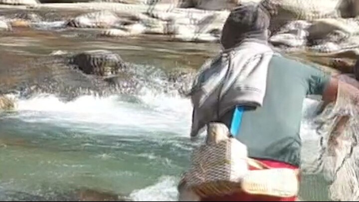 cast net fishing in Nepal | asala fishing | himalayan trout fishing |
