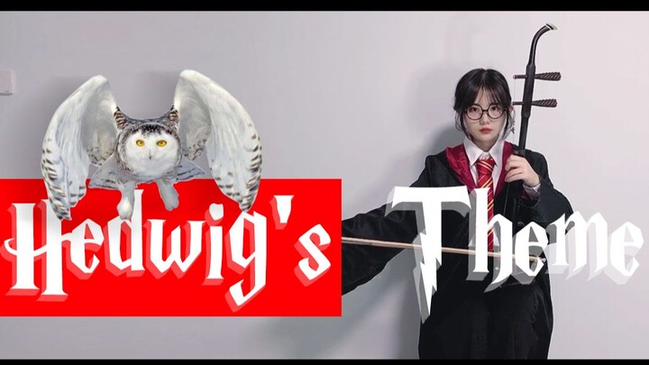 【吓哭麻瓜系列】二胡版《 Hedwig's Theme》，海德薇东北分薇来啦～（这首真的。。。拉完自己都发毛）