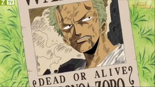 Zoro và Sanji - Sự khác biệt giữa con ruột và con ghẻ #onepiece