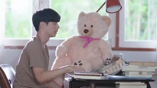 the miracle of teddy bear finale eng sub