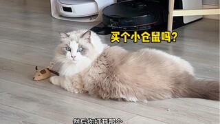 现在的猫也挺惨的，都没见过真老鼠