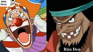 Luffy & Râu Đen, Vua hải tặc & Tứ hoàng khác biệt như thế nào_ 2
