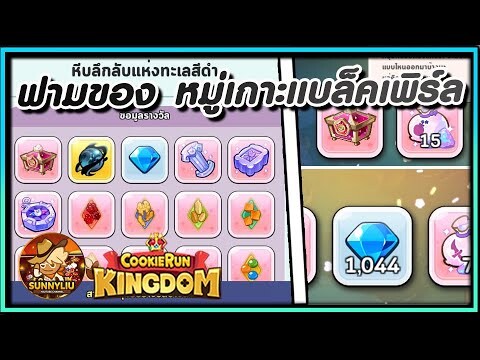 CookieRun Kingdom แชร์แนวทางฟามของ เน้นหาหีบ โหมดหมู่เกาะแบล็คเพิร์ล รอบละ 11-15 นาที !!
