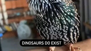 dinosaur do exist