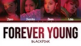 BLACKPINK - 'FOREVER YOUNG' LYRICS COLOR CODED VIDEO