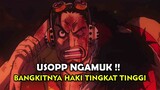 KEKUATAN YANG TAK DIDUGA !! JANGAN PERNAH REMEHKAN USOPP | MUSUH TANGGUH DIKALAHKANNYA (One Piece)