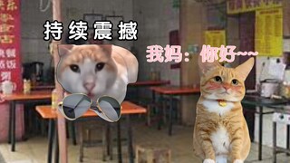 [猫meme]浪迹江湖的我爸怎么可能追到楚楚可人的我妈......【520特辑】