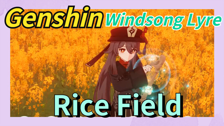 [Genshin  Windsong Lyre]  [Rice Field]