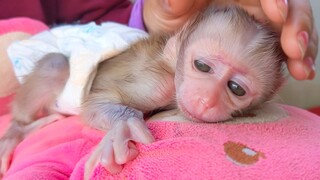 Time To Relax!! Tiny adorable Luca so warmth with Mom's comfort before bed