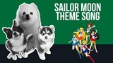 Sailor Moon Theme Song but it's Doggos and Gabe