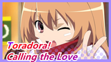 [Toradora!/MAD] Calling the Love in the Center of World